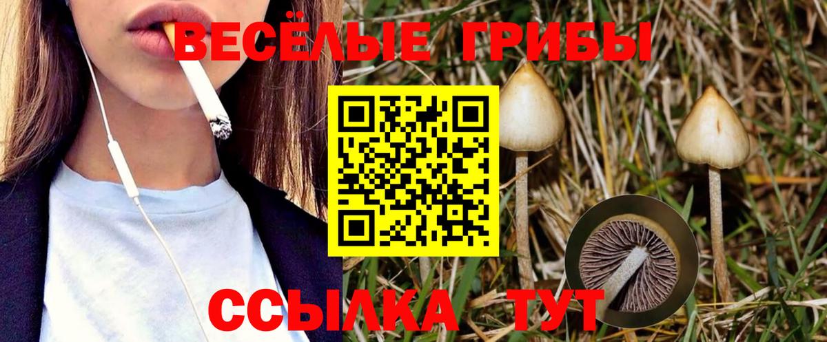 Зима  Псилоцибиновые грибы MAGIC MUSHROOMS  Вход с VPN 